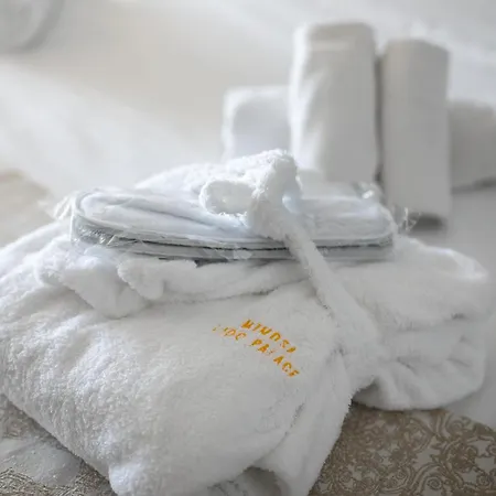 מלון Maslinica Mimosa Lido Palace 4*