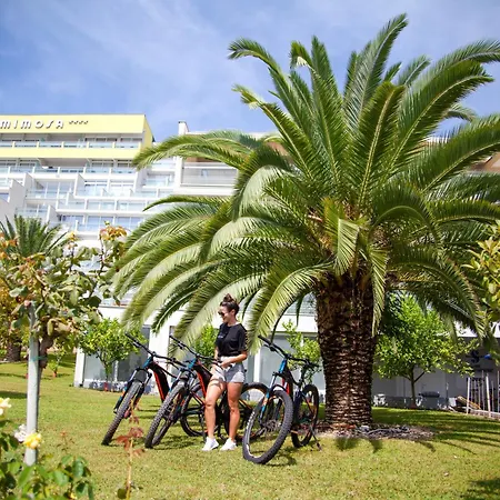 Maslinica Mimosa Lido Palace 4* Rabac