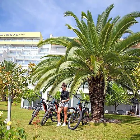Maslinica Mimosa Lido Palace 拉巴克